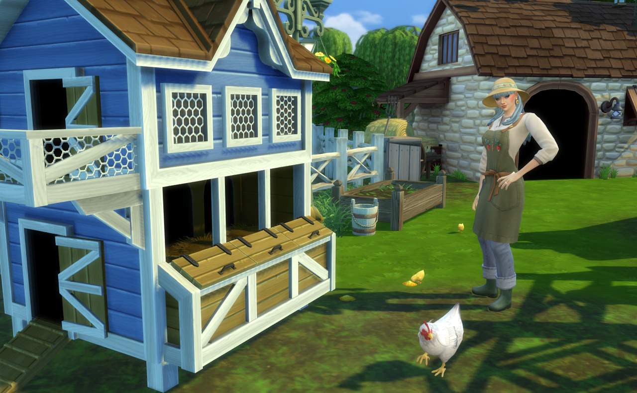 sakura-at-the-chicken-coop.png