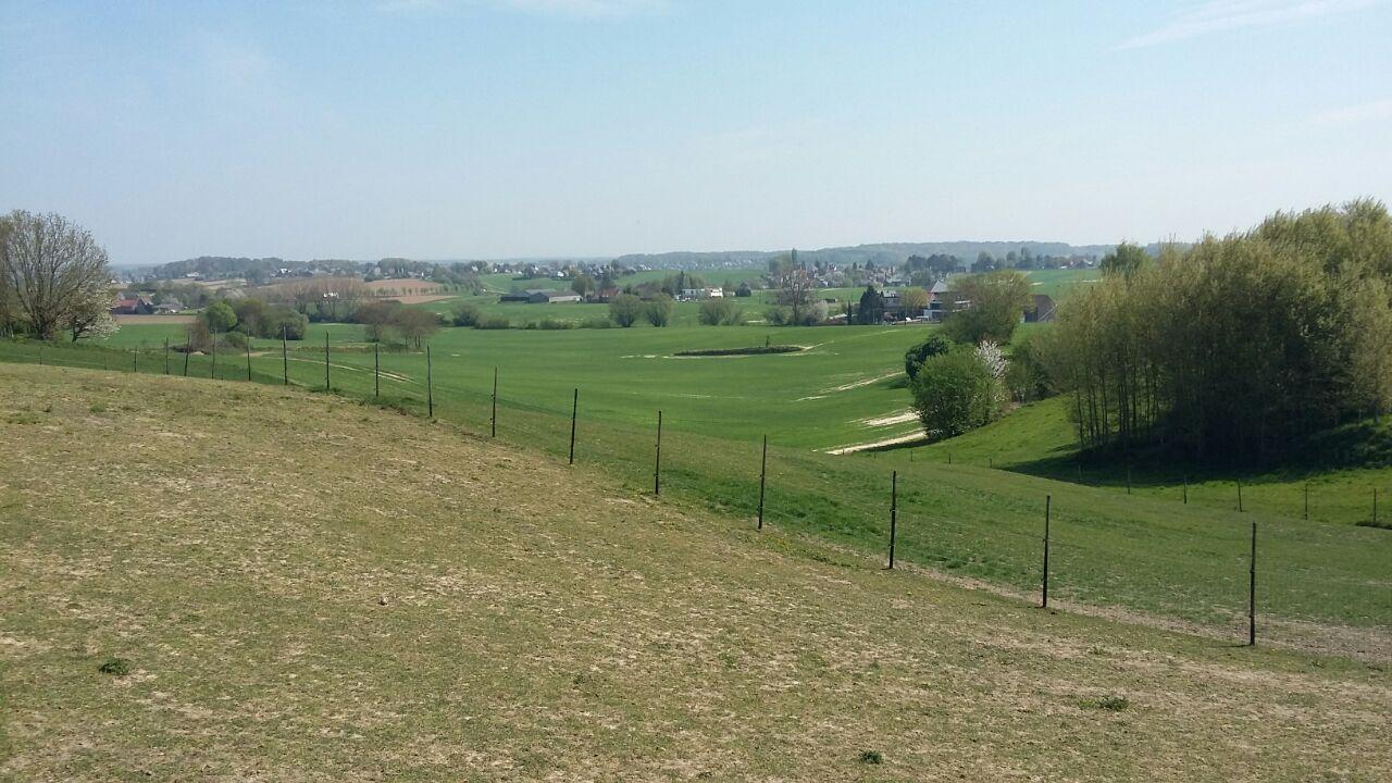 photo_2020-04-18_17-49-45
