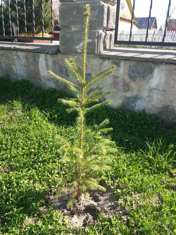 зображення_viber_2021-04-28_09-42-52