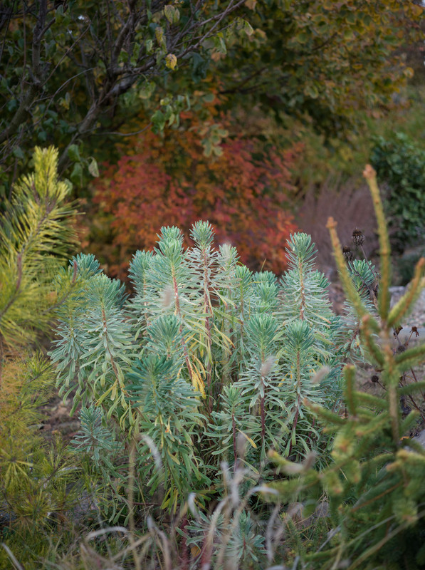 IMG-cd4eb2e95372b08cbcea25cced27f667-V