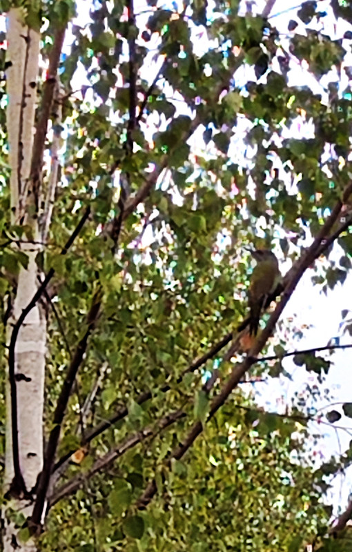 IMG-20230827-125819.jpg