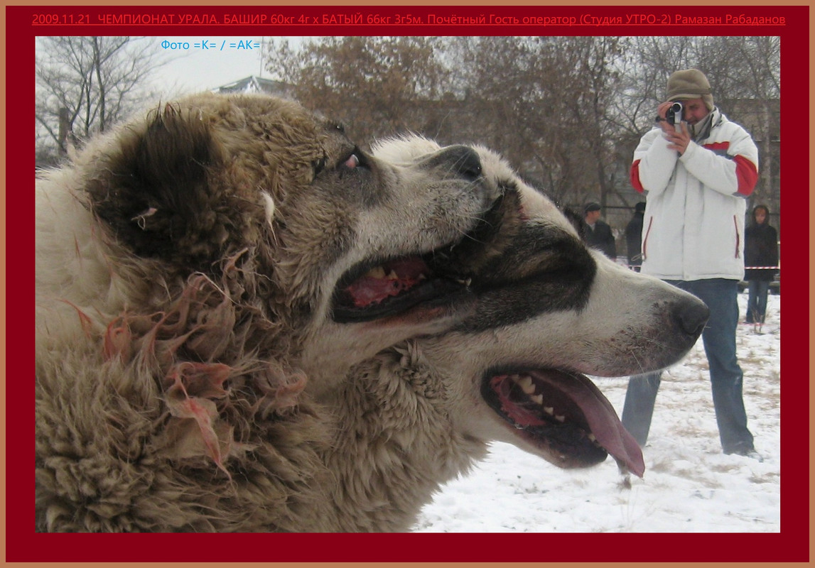 Рамазан 2009.11.21 БАШИР 60кг 4г х БАТЫЙ 66кг 3г5м (21Б)