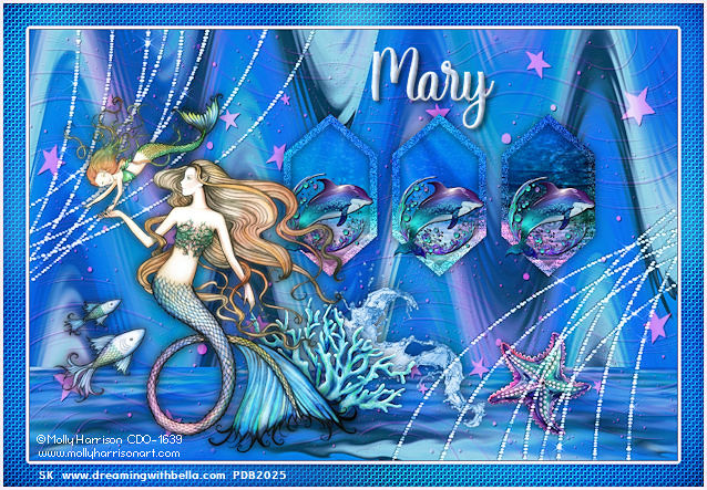 yHarrisonVbytheseaside2025mary-vi