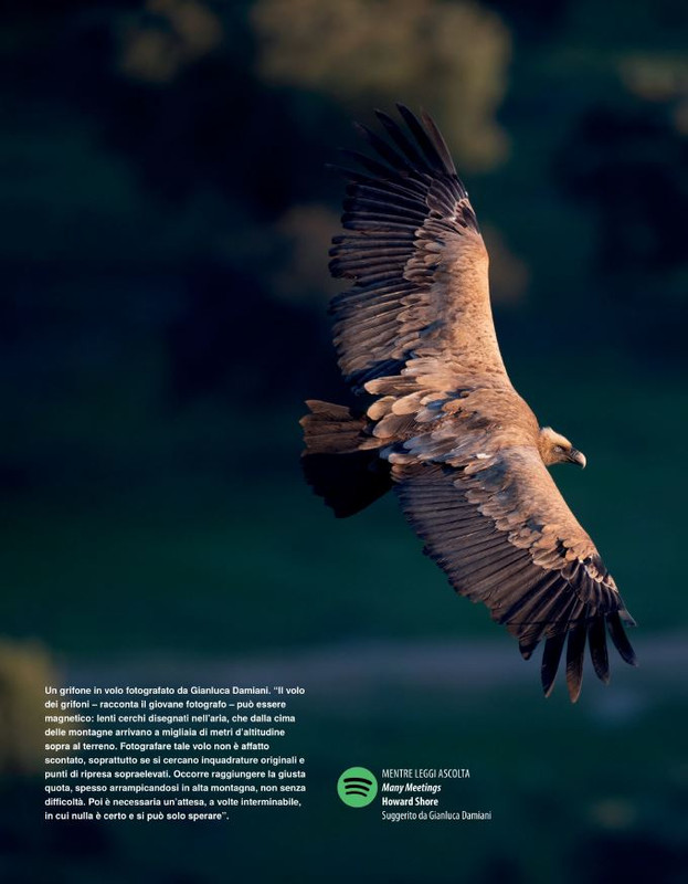 FOTO Cult Dic 2022-Gen 2023 (5)