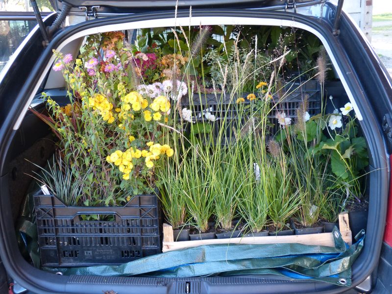 2014-10-28 Kofferraumbegrünung 2