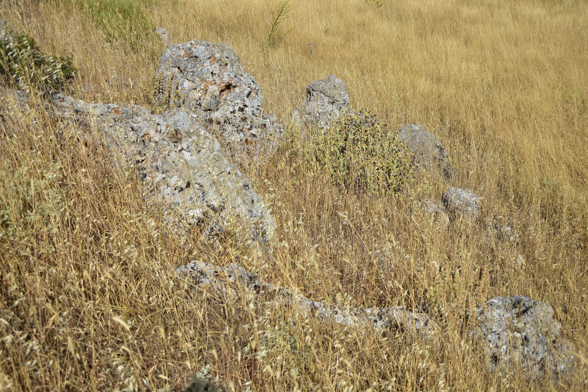 Αρχαίες Πλαταιές (22)