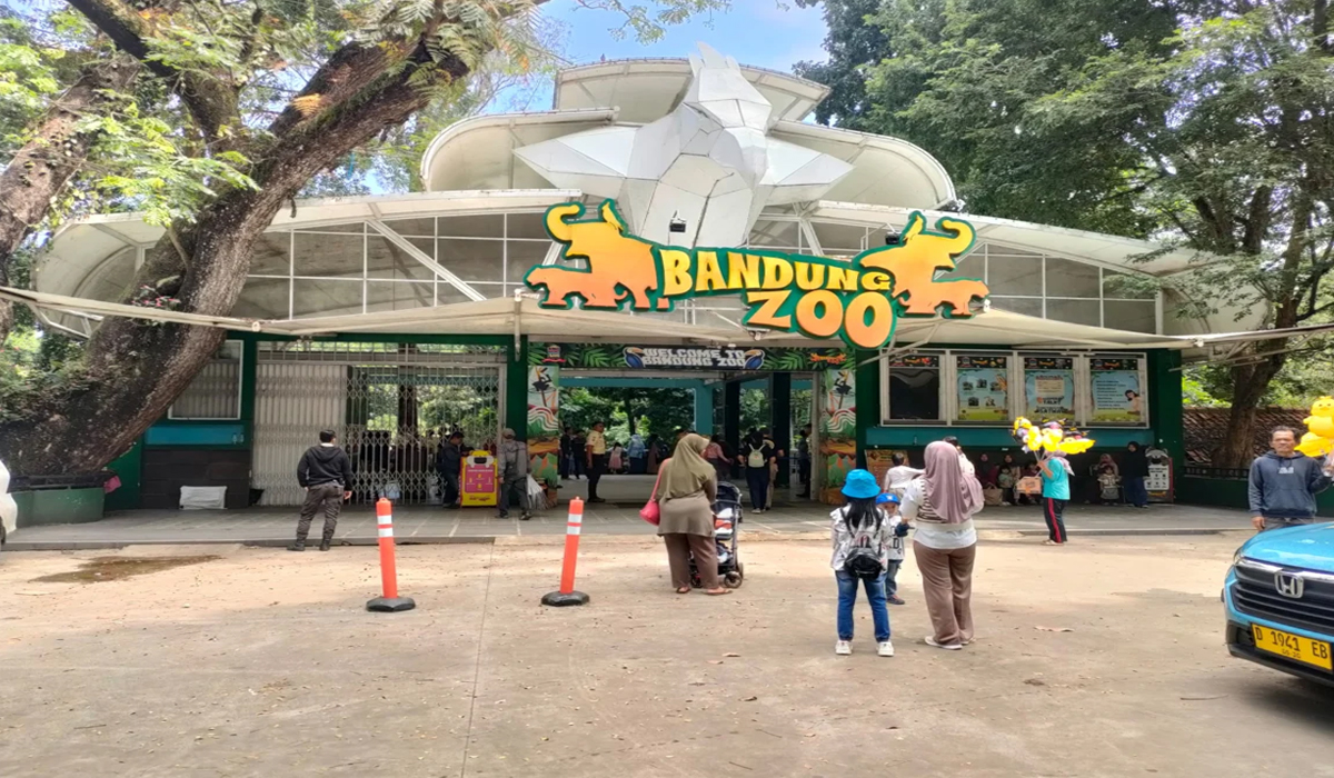 Bandung Zoo Kembali Dibuka Usai Tutup Mendadak, Ini Penjelasannya! Bandung Zoo Kembali Dibuka Usai Tutup Mendadak, Ini Penjelasannya!