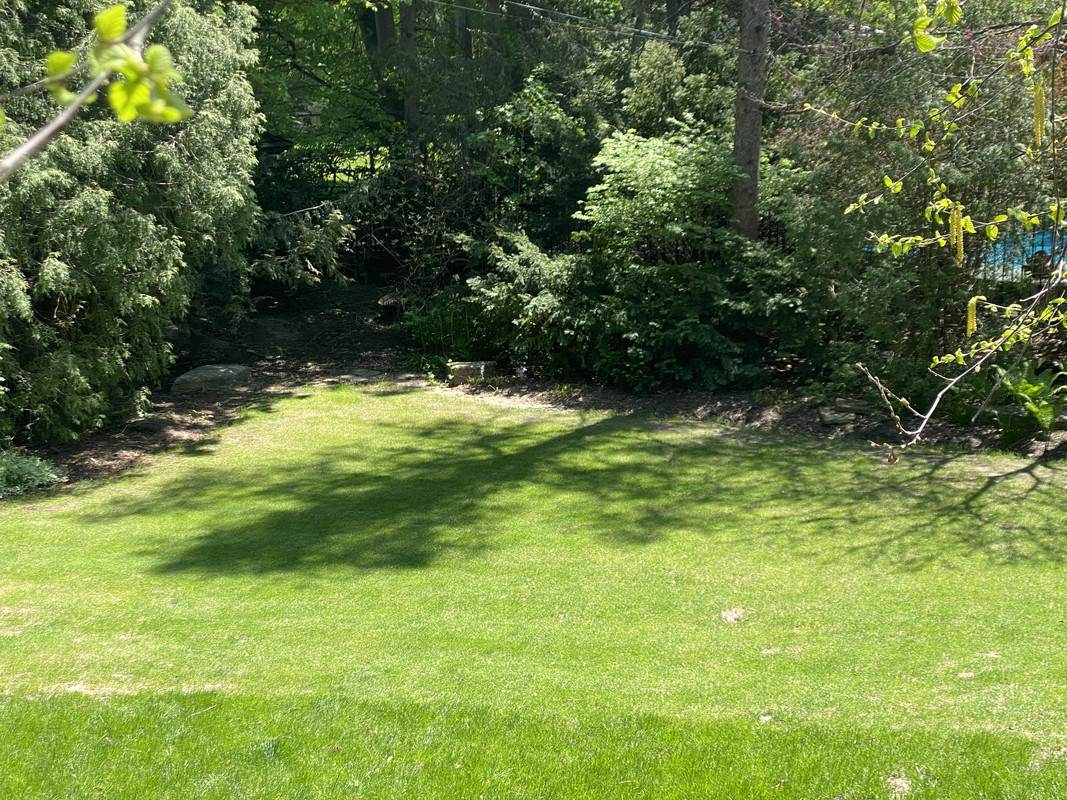 776D0FA9-2E16-468D-B0F8-A9F2C4D895A3