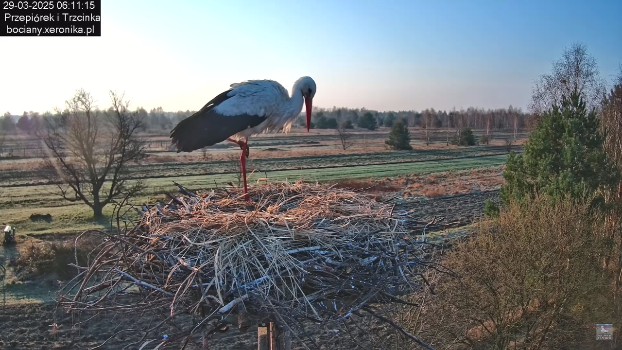 29032025porannezamieszanie_7