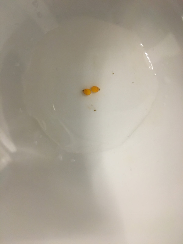 2E065C92-18A7-4D36-9AA8-5B4436221F19