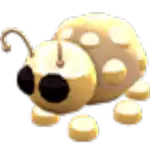 Golden Ladybug