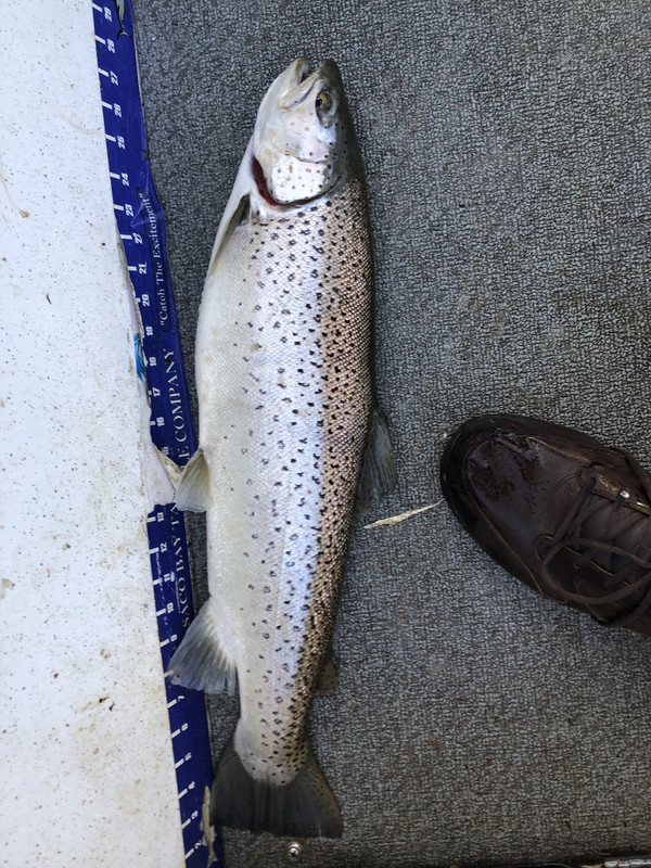 79B02682-F77B-43F0-9FE6-4711F38CECF7