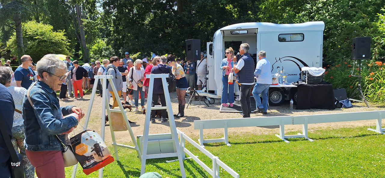 [Image: 20250615-141835.jpg]