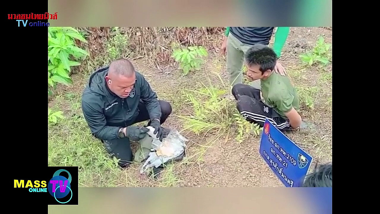 vlcsnap-2025-11-04-08h40m55s320