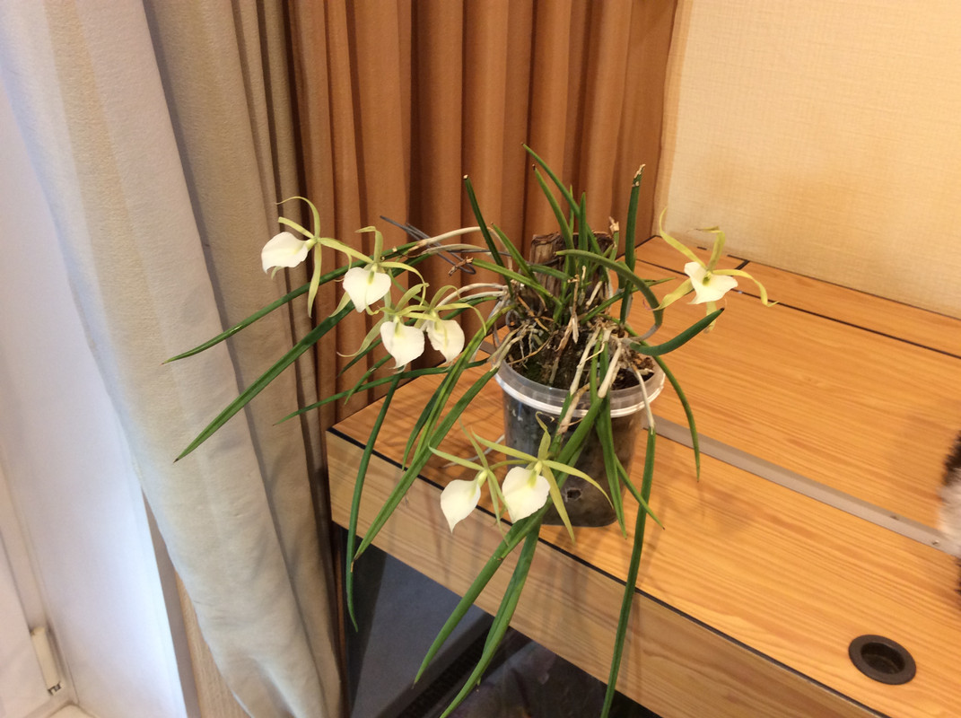 C52AA7D3-0B29-4082-B862-322022715FE0