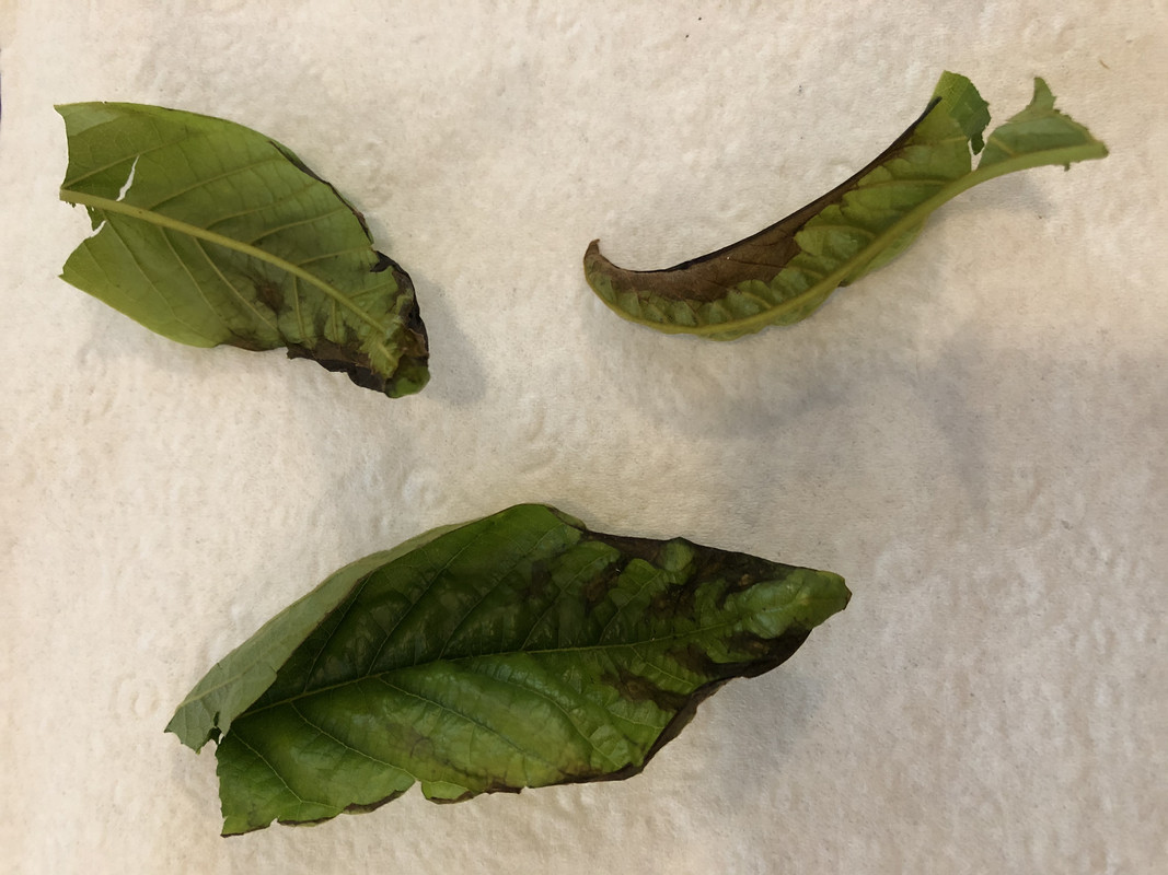 B07FD276-7792-485E-A97D-01EFFC9EC731