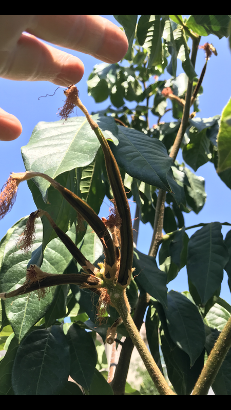 304DFC19-55D9-409E-9557-CFA732342200