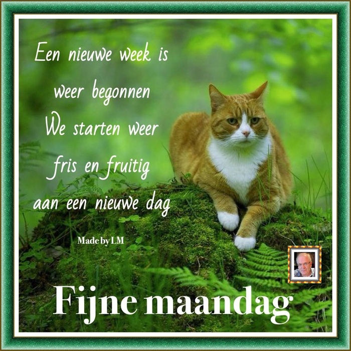www.krabbelplaatjes.com