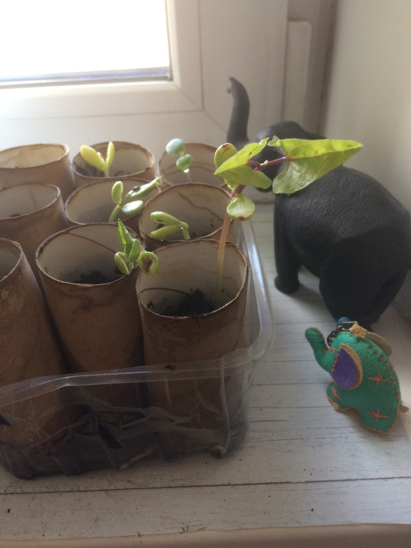 51FE4C7C-2F04-43AA-8976-4E8FF57165D5