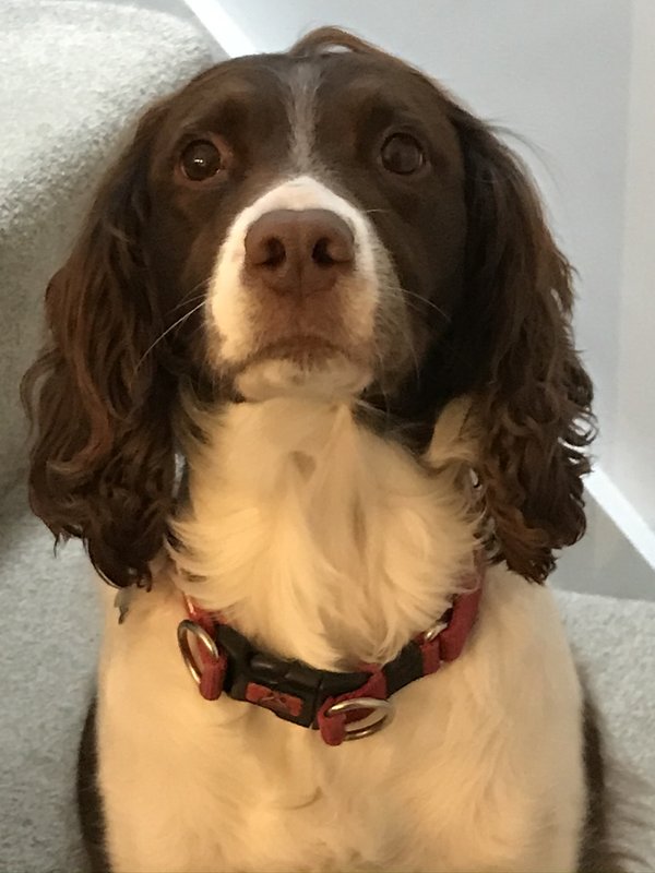 D1607A6C-4233-4BE4-982F-A7A215DC274E