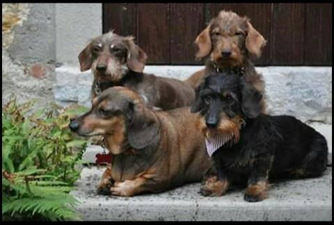 [Image: Mes-filles.jpg]