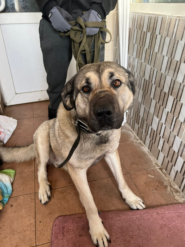 WhatsApp Image 2024-01-03 at 14.03.52 (1)