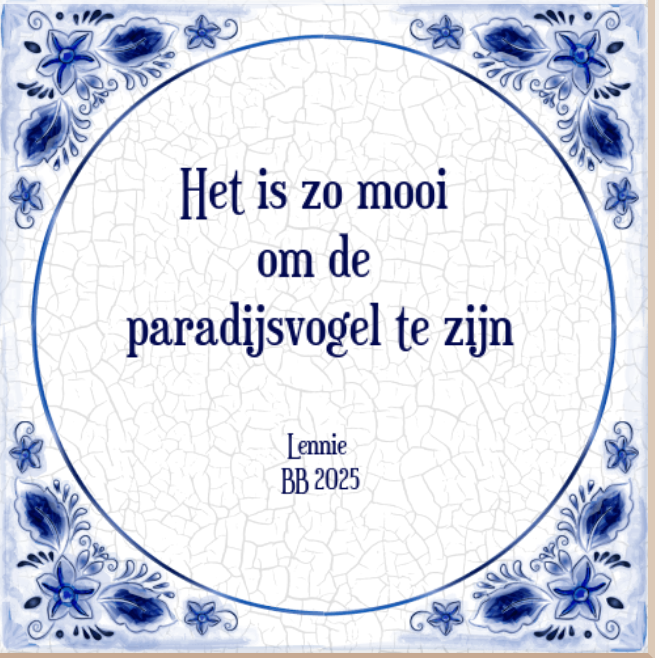 Schermafbeelding-2025-01-09-213835.png