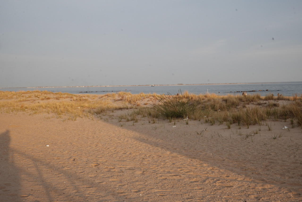 DSC02173