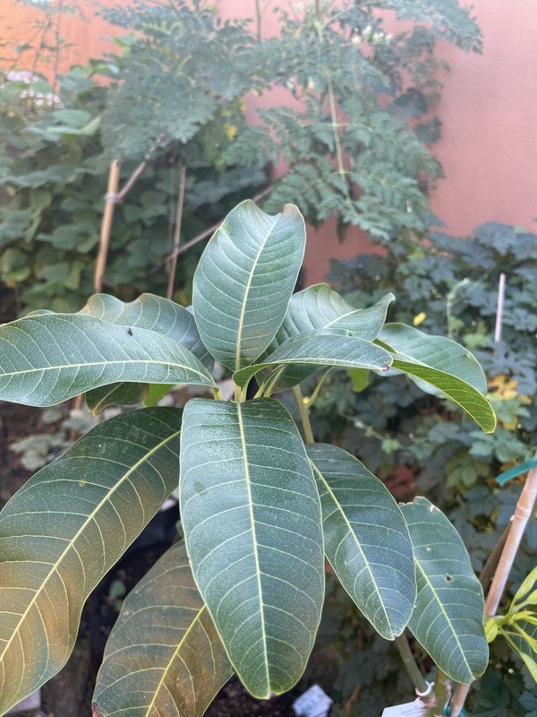 2614A4B9-21D2-4221-9CB9-220954B0E11F