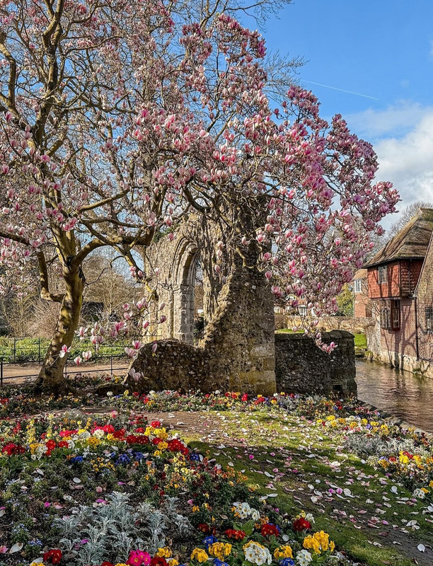 Screenshot_20240429_212207_Threads