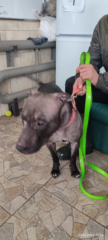 WhatsApp Image 2024-02-23 at 15.23.35 (1)