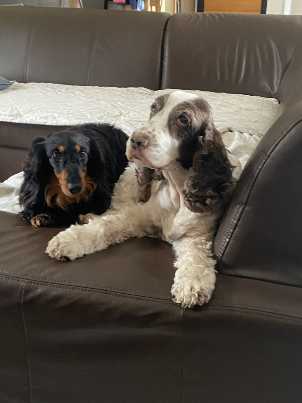 [Image: IMG-43601.jpg]