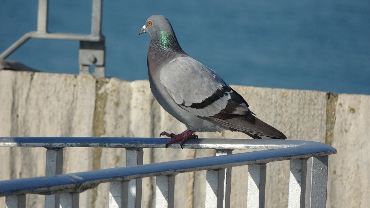 DSC00060