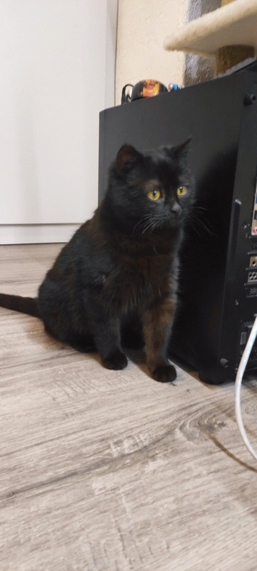 F142FD26-10DA-483F-BF35-7082C34C1171