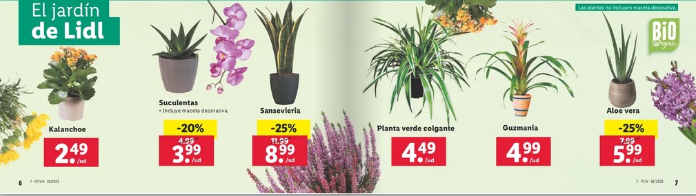 Ofertas semanales de jardinería en ALDI y LIDL - Página 10 Captura-de-pantalla-2023-07-10-132803
