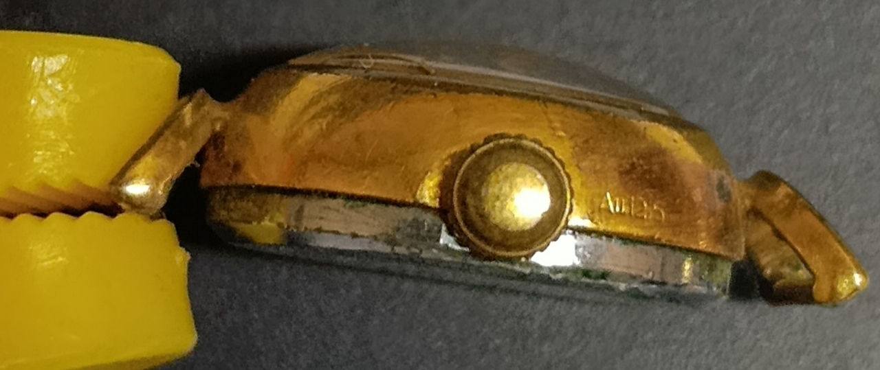 IMG 20260204 103502 1