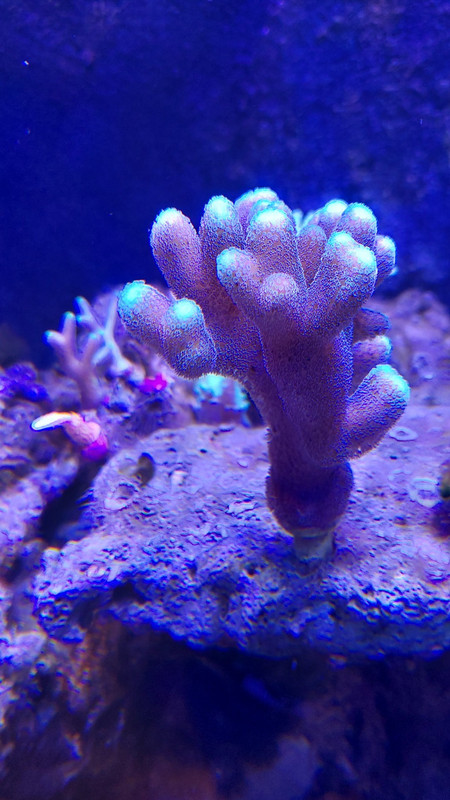 590571819 1160997259556163 1974719068322546806 n