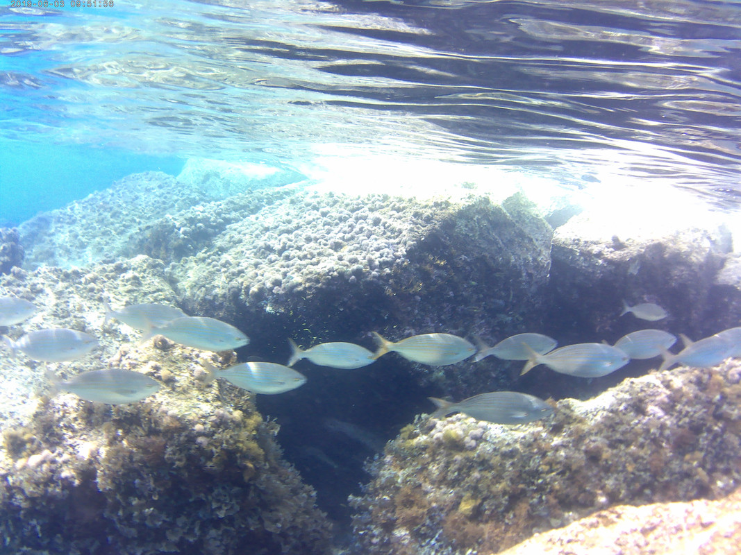 20190603_095156A — копия