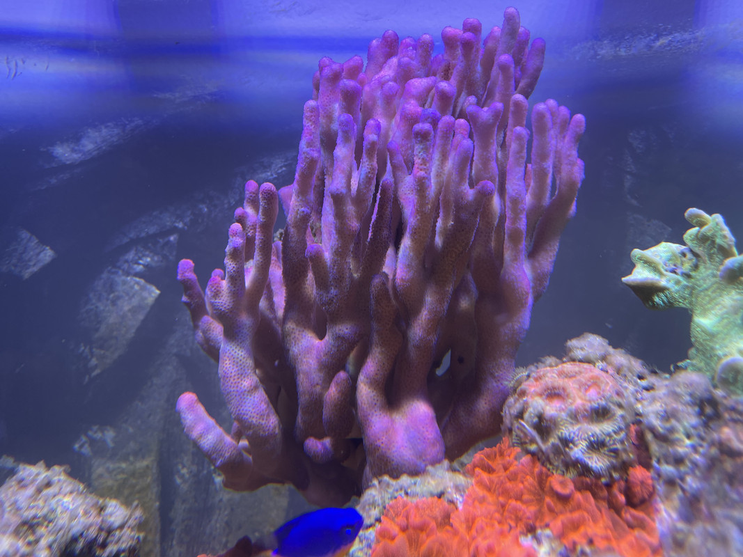 5AE61D1B-FE78-4E64-88DF-AB4BB3CB140E