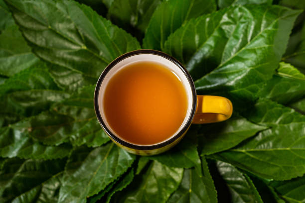 spearmint tea supplement