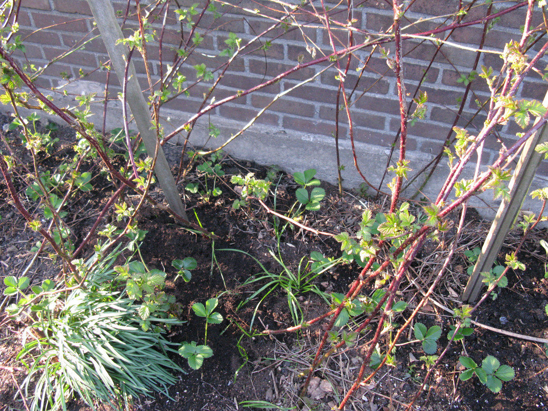 IMG-1420.jpg