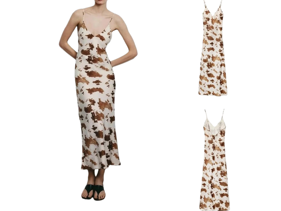 Zara Dress