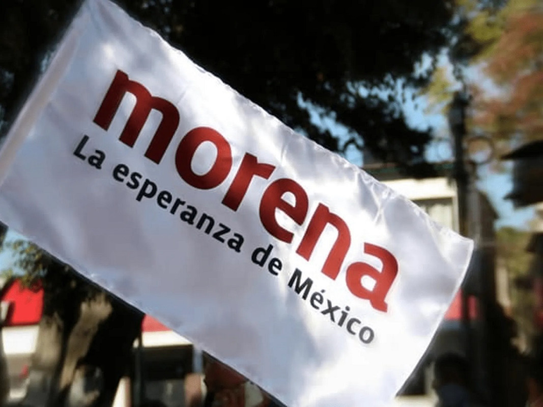 Morena propone mayores sanciones por tala ilegal en CDMX