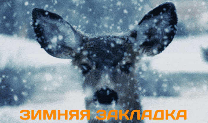 GIF-20260105-081923-235.gif