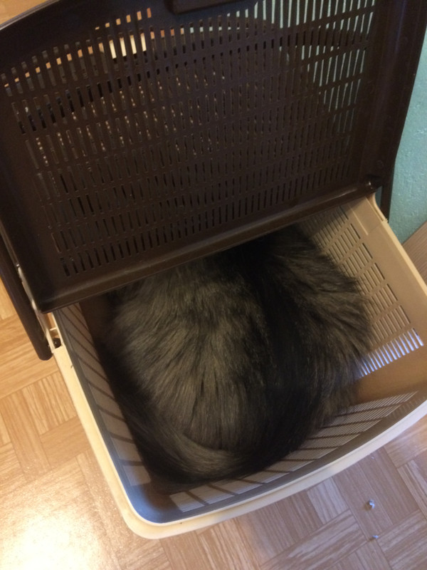 16268752-9703-4923-8831-0216845247CE