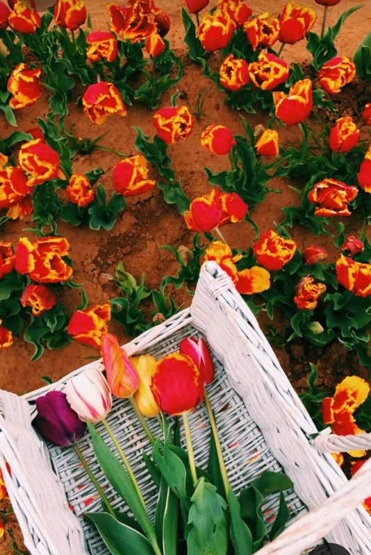 Screenshot_20230326_235952_Pinterest