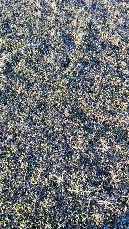20240813-074814.jpg