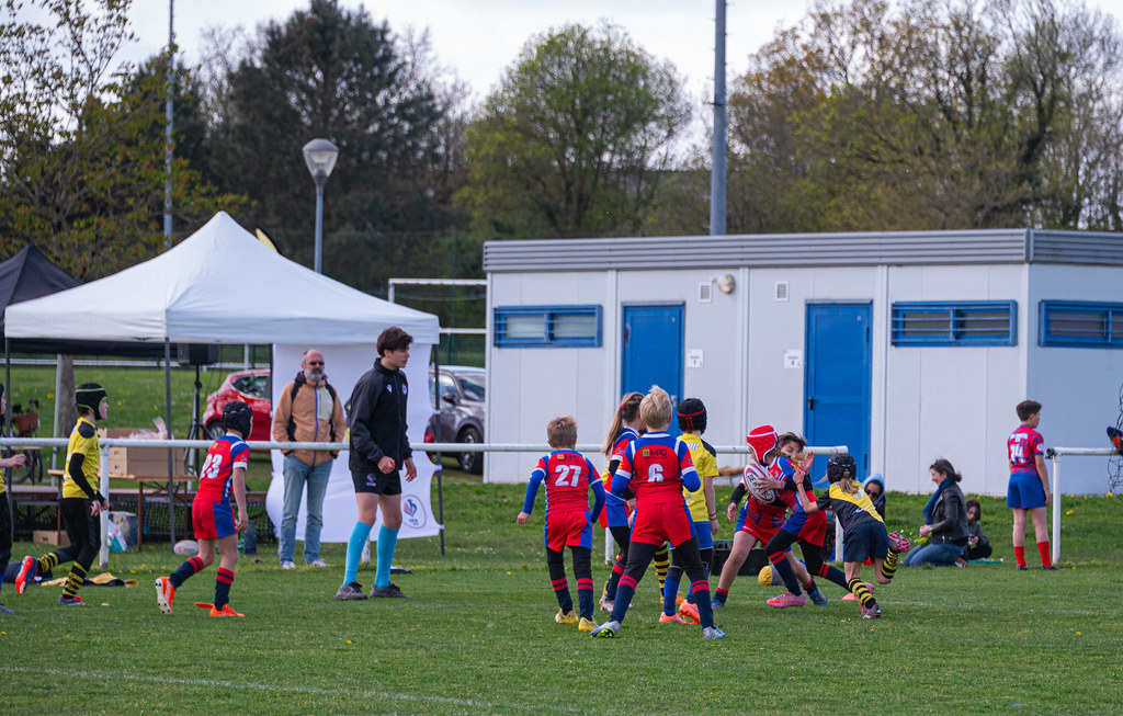 tournoi-de-latlantique-2026-adonis-griffon-62-55181548709-l