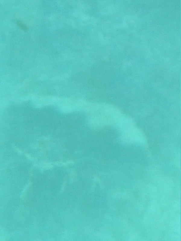 20260220 140729