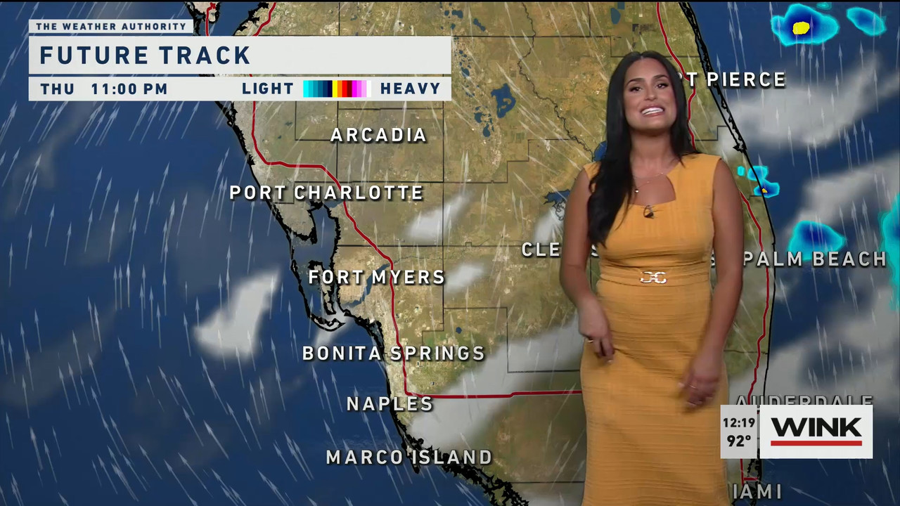 06.15 - 17.00.00 - The WINK Noon News. Midday news update..ts_snapshot_26.20.954